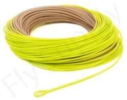 Euro Flies Tropical Power Taper Floating WF Fly Line 12 Euro Flies Tropical Power Taper Floating WF Fly Line -Aanbevolen Winkels Voor Visuitrusting Euro Flies Tropical Power Taper Floating WF Fly Line EF TROPPOWTAP XXX dsc06604 2