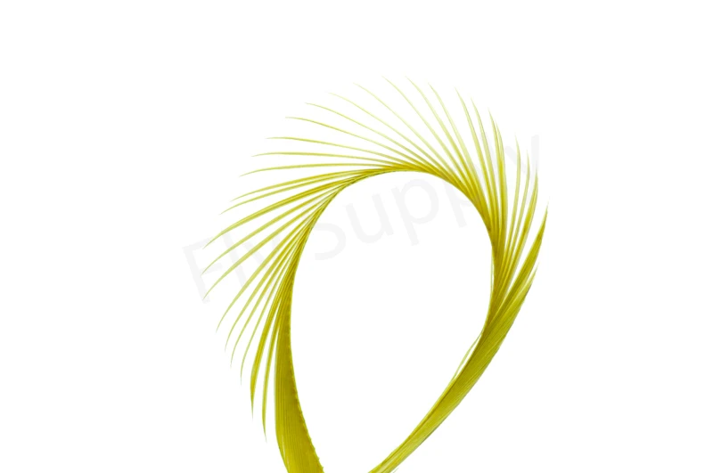 Goose Biots (stripped Goose) 9 Goose Biots (stripped Goose) - Afbeelding 7