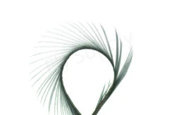 Goose Biots (stripped Goose) 20 Goose Biots (stripped Goose) -Aanbevolen Winkels Voor Visuitrusting FS 650