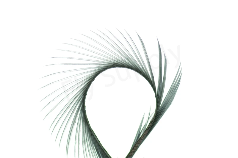 Goose Biots (stripped Goose) 11 Goose Biots (stripped Goose) - Afbeelding 9