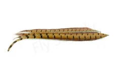 Ringneck Cock Pheasant Center Tail -Aanbevolen Winkels Voor Visuitrusting FS 683