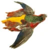 Golden Pheasant Skin Less Head And Tail -Aanbevolen Winkels Voor Visuitrusting FS 690