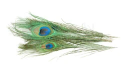 Peacock Eyes Natural 2pc