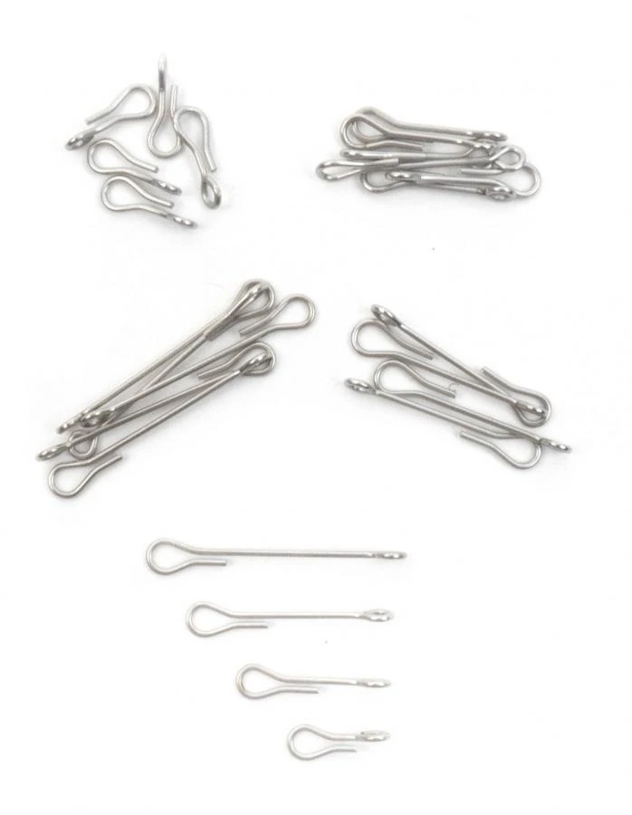 Fish Skull Articulated Fish Spine 10 Fish Skull Articulated Fish Spine - Afbeelding 8