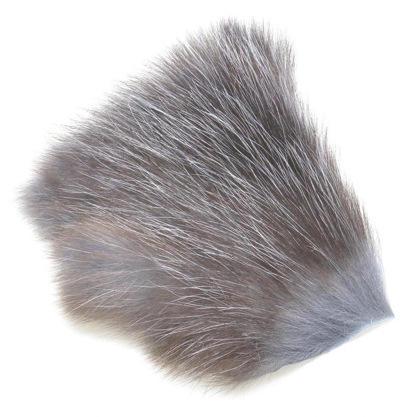 FutureFly American Opossum 20 FutureFly American Opossum - Afbeelding 18