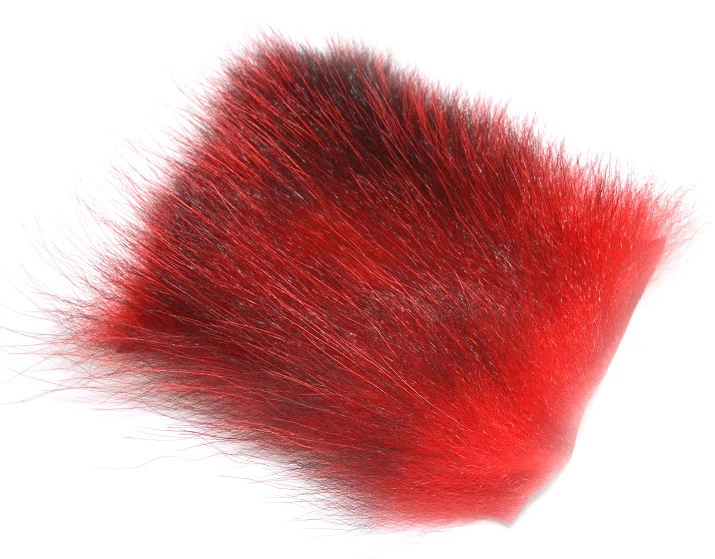 FutureFly American Opossum 19 FutureFly American Opossum - Afbeelding 17