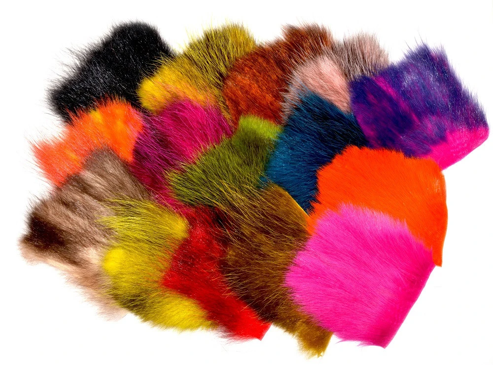 FutureFly American Opossum 3 FutureFly American Opossum