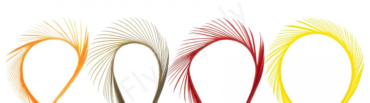 Goose Biots (stripped Goose) 3 Goose Biots (stripped Goose)