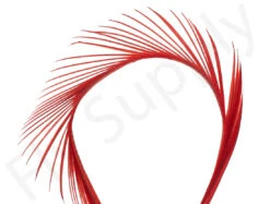 Goose Biots (stripped Goose) 16 Goose Biots (stripped Goose) -Aanbevolen Winkels Voor Visuitrusting Goose biots stripped goose 40 50XXX dsc09401 bewerkt