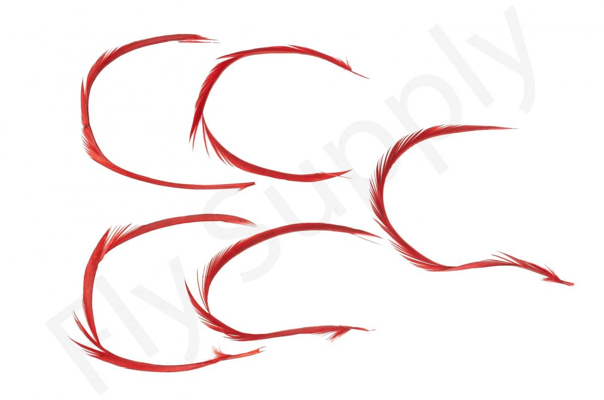 Goose Biots (stripped Goose) 4 Goose Biots (stripped Goose) - Afbeelding 2