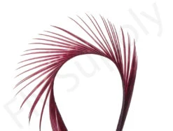 Goose Biots (stripped Goose) 17 Goose Biots (stripped Goose) -Aanbevolen Winkels Voor Visuitrusting Goose biots stripped goose 40 50XXX dsc09403