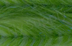 H2O Polar Fibre Streamer Brush 3inch 28 H2O Polar Fibre Streamer Brush 3inch -Aanbevolen Winkels Voor Visuitrusting H2O Polar Fibre Streamer Brush 3inch DBPFXX 3 dsc05721 wm