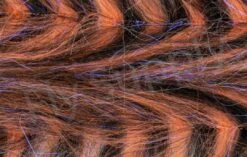 H2O Polar Fibre Streamer Brush 3inch 40 H2O Polar Fibre Streamer Brush 3inch -Aanbevolen Winkels Voor Visuitrusting H2O Polar Fibre Streamer Brush 3inch DBPFXX 3 dsc05754 wm