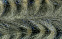 H2O Polar Fibre Streamer Brush 3inch 41 H2O Polar Fibre Streamer Brush 3inch -Aanbevolen Winkels Voor Visuitrusting H2O Polar Fibre Streamer Brush 3inch DBPFXX 3 dsc05757 wm