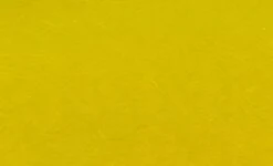 H2O Slinky Fibre -Aanbevolen Winkels Voor Visuitrusting H2O Slinky Fibre SF XX dsc05664