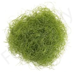 Hareline Senyo's Shaggy Dub 35 Hareline Senyo's Shaggy Dub -Aanbevolen Winkels Voor Visuitrusting Hareline Senyos Shaggy Dub SHAGDUB XXX dsc03070 bewerkt