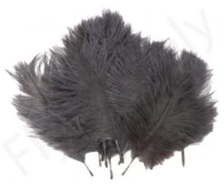 Hareline Spey Plumes Premium Ostrich -Aanbevolen Winkels Voor Visuitrusting Hareline Spey Plumes Premium Ostrich HARELINE SP XXX dsc05500