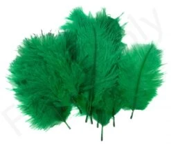 Hareline Spey Plumes Premium Ostrich -Aanbevolen Winkels Voor Visuitrusting Hareline Spey Plumes Premium Ostrich HARELINE SP XXX dsc05502