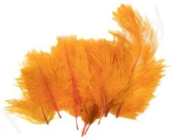 Hareline Spey Plumes Premium Ostrich -Aanbevolen Winkels Voor Visuitrusting Hareline Spey Plumes Premium Ostrich HARELINE SP XXX dsc05504