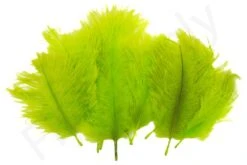 Hareline Spey Plumes Premium Ostrich -Aanbevolen Winkels Voor Visuitrusting Hareline Spey Plumes Premium Ostrich HARELINE SP XXX dsc05516