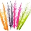 Jim Teeny Pheasant Feathers 2pc -Aanbevolen Winkels Voor Visuitrusting Jim Teeny Pheasant Feathers 2pc TEENYFEATHER X dsc06447 bewerkt