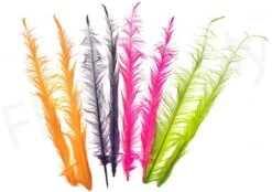 Jim Teeny Pheasant Feathers 2pc