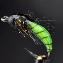 Loon UV Fly Finish -Aanbevolen Winkels Voor Visuitrusting Loon UV Fly Finish F0721XXX product 8 34942