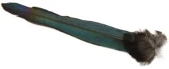 Magpie Whole Tail