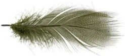 Mallard Barred Flank Large Select Feathers 12pc -Aanbevolen Winkels Voor Visuitrusting Mallard Barred Flank Large Select Feathers 12pc MBS XXX dsc04843 bewerkt