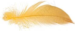 Mallard Barred Flank Large Select Feathers 12pc -Aanbevolen Winkels Voor Visuitrusting Mallard Barred Flank Large Select Feathers 12pc MBS XXX dsc04849 bewerkt
