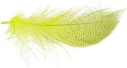 Mallard Barred Flank Large Select Feathers 12pc -Aanbevolen Winkels Voor Visuitrusting Mallard Barred Flank Large Select Feathers 12pc MBS XXX dsc04851 bewerkt