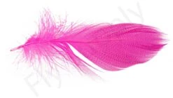 Mallard Barred Flank Large Select Feathers 12pc -Aanbevolen Winkels Voor Visuitrusting Mallard Barred Flank Large Select Feathers 12pc MBS XXX dsc04852 bewerkt