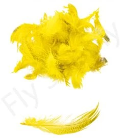 Mallard Flank -Aanbevolen Winkels Voor Visuitrusting Mallard flank 40 92XXX dsc09449 bewerkt