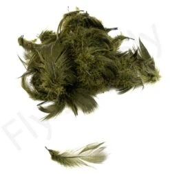 Mallard Flank -Aanbevolen Winkels Voor Visuitrusting Mallard flank 40 92XXX dsc09450 bewerkt bewerkt