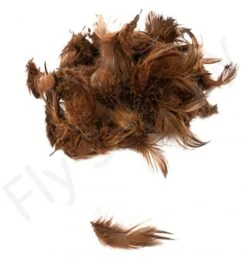 Mallard Flank -Aanbevolen Winkels Voor Visuitrusting Mallard flank 40 92XXX dsc09451 bewerkt