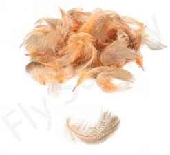 Mallard Flank -Aanbevolen Winkels Voor Visuitrusting Mallard flank 40 92XXX dsc09453 bewerkt