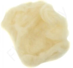 Master Dub -Aanbevolen Winkels Voor Visuitrusting Master dub 61 20XXX 61 20156