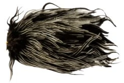 Metz Magnum Saddle #1 -Aanbevolen Winkels Voor Visuitrusting Metz Magnum Saddle 1 METZ MG1 X dsc06663 bewerkt