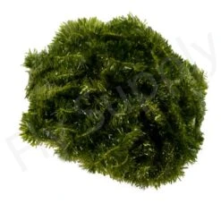 Mini Ice Clear Chenille 6 Mm -Aanbevolen Winkels Voor Visuitrusting Mini Ice Clear Chenille 6 mm 20 16XXX dsc03024 bewerkt wm