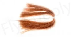 Nymph Body Fiber 13 Nymph Body Fiber -Aanbevolen Winkels Voor Visuitrusting Nymph Body Fiber 30 50XXX dsc09706 bewerkt wm