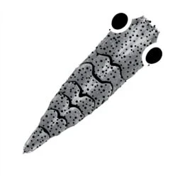 Pro Sportfisher Shrimp Shell G2 -Aanbevolen Winkels Voor Visuitrusting Pro Sportfisher Shrimp Shell G2 PROSHRSHELLG2 XXX gen 2 grey large