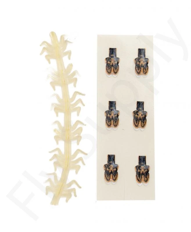 Realistic Legs & Wings 6pc 4 Realistic Legs & Wings 6pc - Afbeelding 2