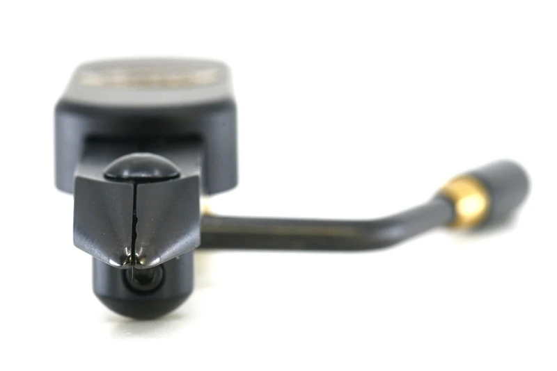 Regal Head Only With Big Game Jaws Medallion Series 4 Regal Head Only With Big Game Jaws Medallion Series - Afbeelding 2