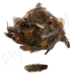 Ringneck Pheasant Body Feathers 3gr -Aanbevolen Winkels Voor Visuitrusting Ringneck Pheasant Body Feathers 3gr RINGNECKBODY XXX dsc02527 bewerkt bewerkt