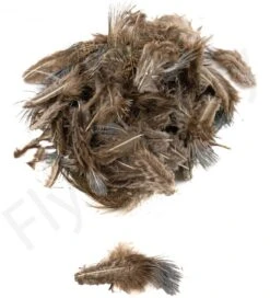 Ringneck Pheasant Body Feathers 3gr -Aanbevolen Winkels Voor Visuitrusting Ringneck Pheasant Body Feathers 3gr RINGNECKBODY XXX dsc02528 bewerkt