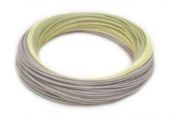 Rio Elite Predator Fly Line -Aanbevolen Winkels Voor Visuitrusting Rio Elite Predator Fly Line 12 9479 XXX fw elite predator f coil