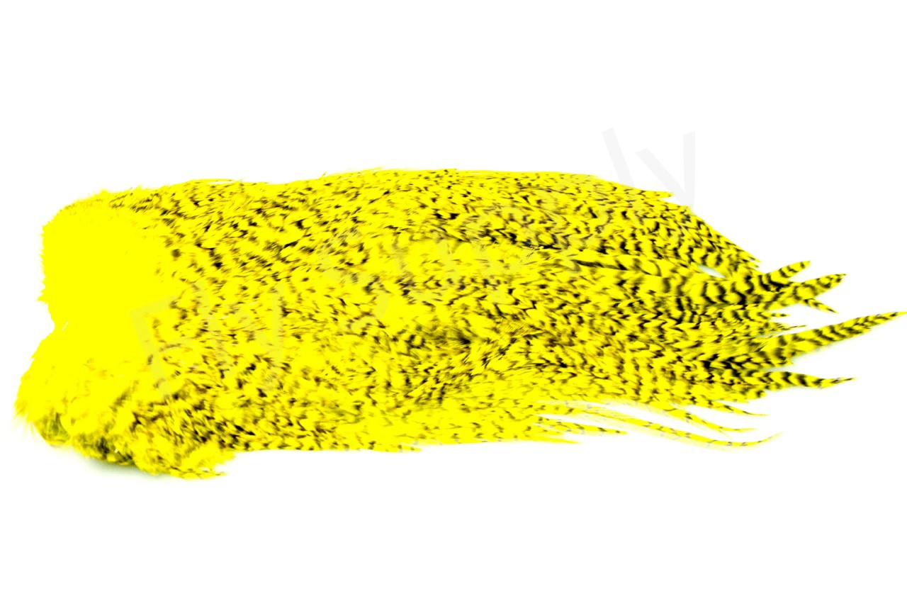 Whiting Rooster Streamer Saddle 4 Whiting Rooster Streamer Saddle - Afbeelding 2