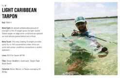 SAGE Salt R8 Fly Rod -Aanbevolen Winkels Voor Visuitrusting SAGE Salt R8 Fly Rod 03 17 XXX 11