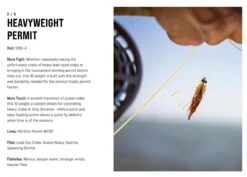 SAGE Salt R8 Fly Rod -Aanbevolen Winkels Voor Visuitrusting SAGE Salt R8 Fly Rod 03 17 XXX 12