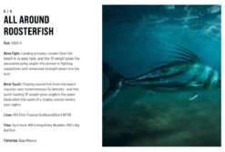 SAGE Salt R8 Fly Rod -Aanbevolen Winkels Voor Visuitrusting SAGE Salt R8 Fly Rod 03 17 XXX 15